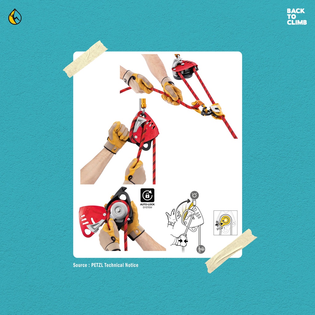 Petzl Maestro S dan L Descender Rescue Safety