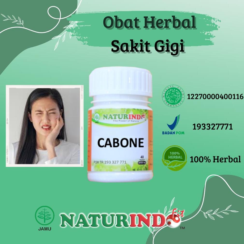 Obat Herbal Sakit Gigi Gigi Goyang Gusi Bengkak Penguatnya Gigi Goyang Ampuh 100% Halal Dan Bpom Nat