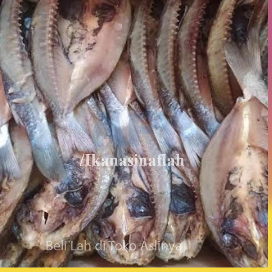 

SALE✅PROMO Ikan Asin Belanak Belah 1Kg & 500Gr / Ikan Asin Belanak|RA5