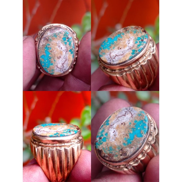 pirus Persia hijau urat mas dim 21 mm  mbanperunggu