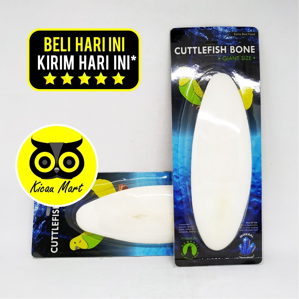 PAKAN MAKANAN BURUNG LOVEBIRD CUTTLEFISH BONE SEMPATI TULANG SOTONG CANGKANG ASINAN CUMI KORONAMIL1