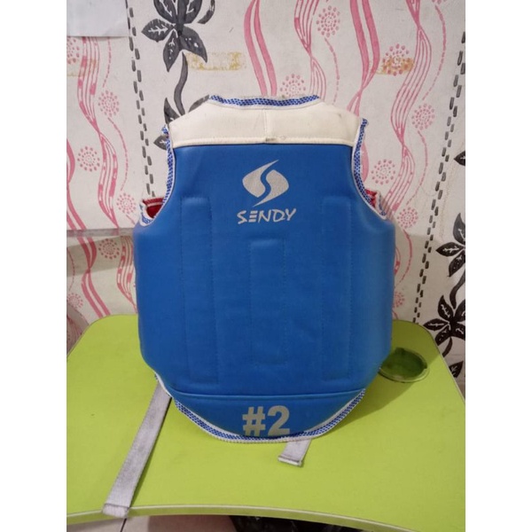 BodyProtectorTaekwondoPreloved