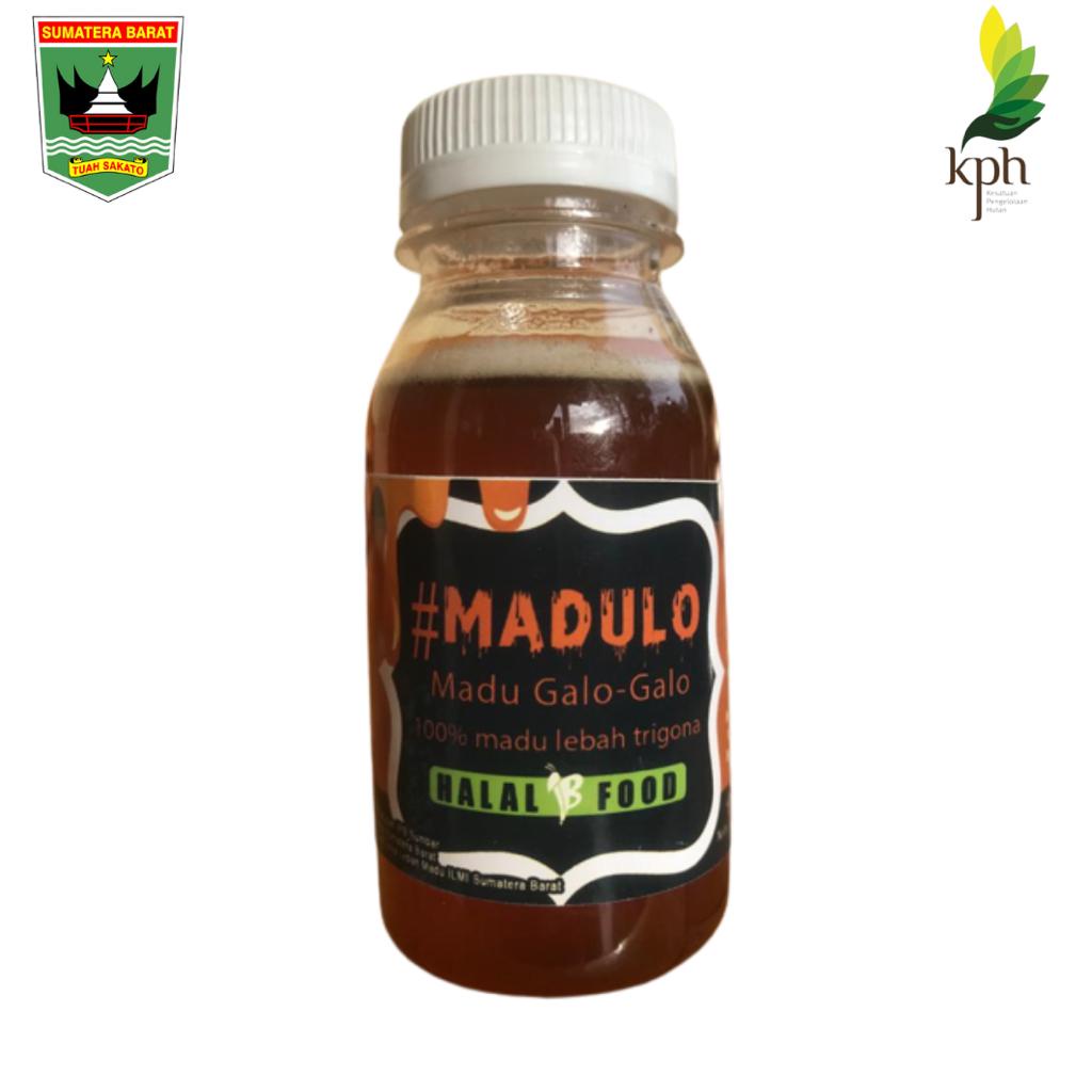 

Madu Galo-Galo #MADULO 100% Asli- Madu Lebah Trigona - Madu Binaan Dinas Kehutanan Provinsi Sumatera Barat