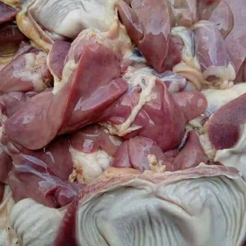 

Ati Ampela Ayam Besar Bersih