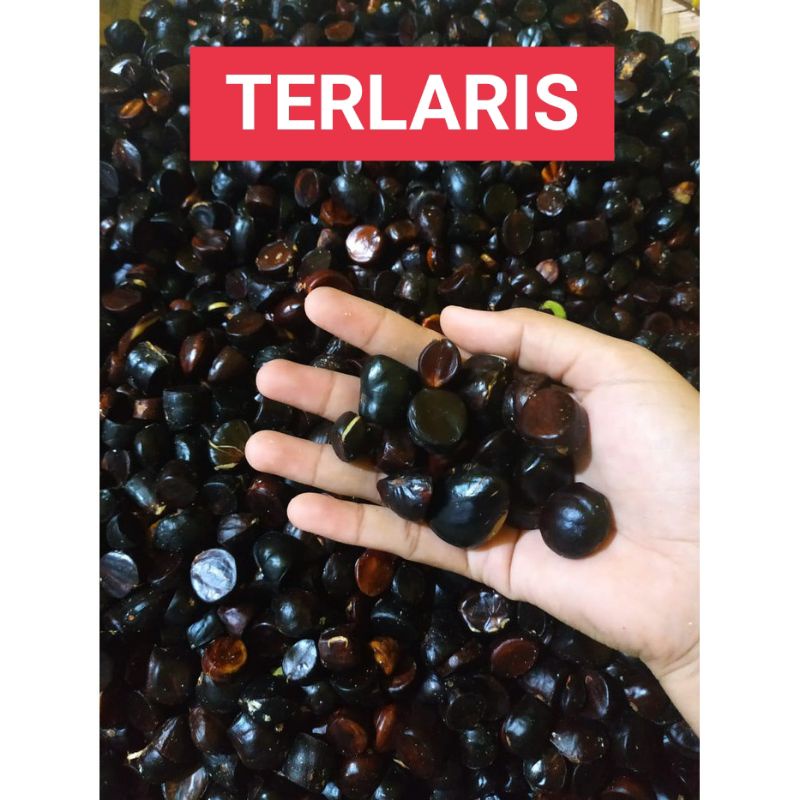 

500gr kabau / jolang / jaling / petai / jengkol pete Jaminan tua