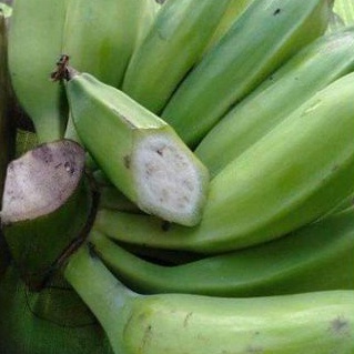 

Pisang batu atau pisang klutuk mentah segar per 1 kg