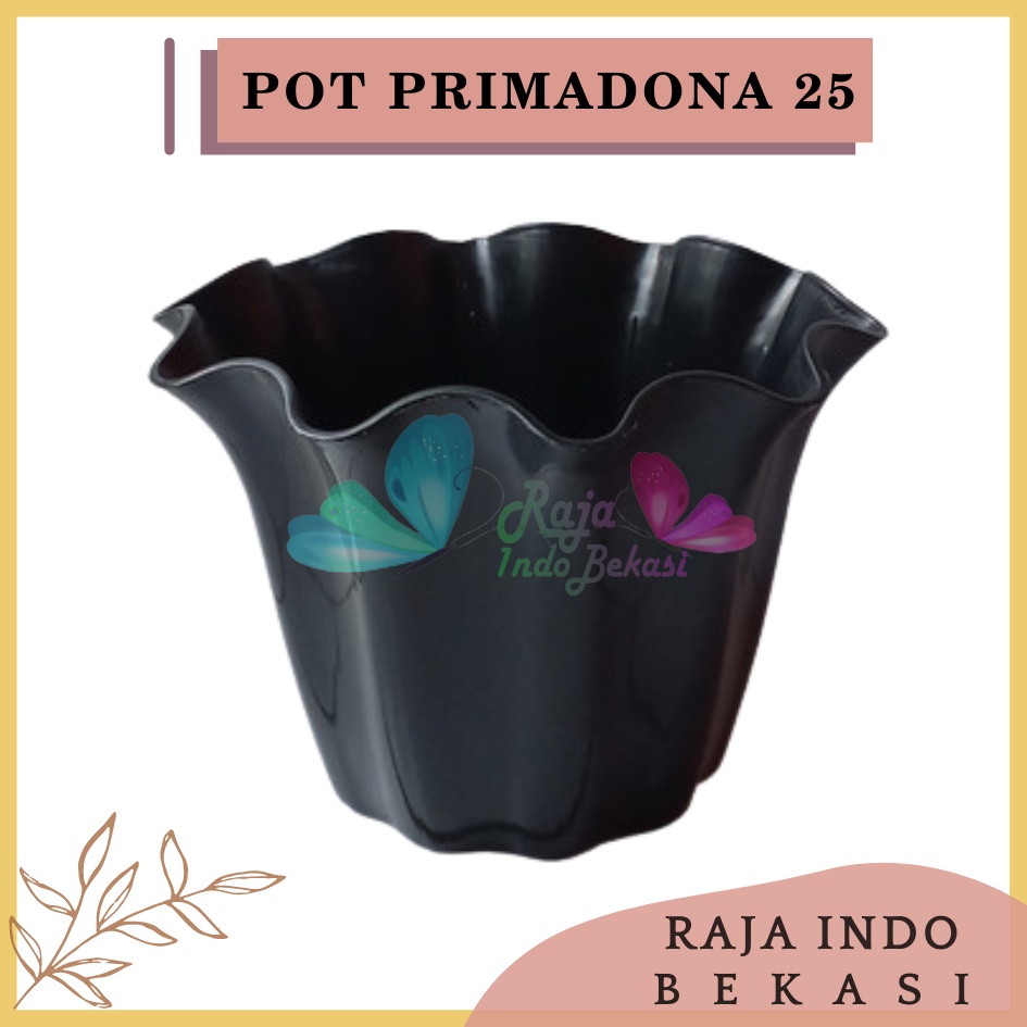 Pot Shallom Primadona 25 Hitam Pot Bunga Plastik Putih Cantik Tebal Gelombang Bagus Pot Primadona 15 20 25 30 35 40 Putih Pink Hitam-SHALLOM PRIMADONA 25 pot bunga plastik putih cantik tebal gelombang bagus