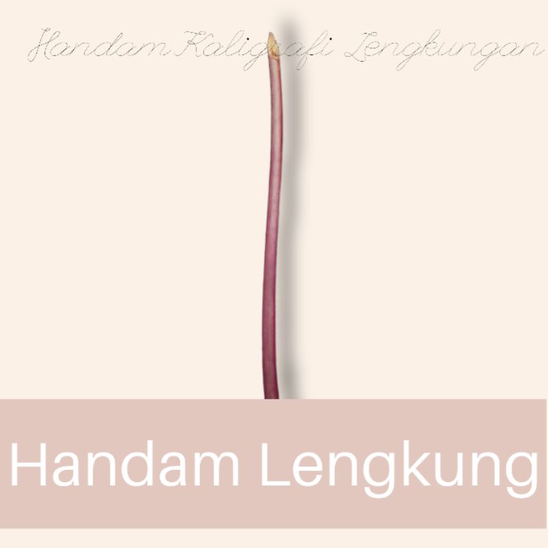 

Handam Lengkung Kaligrafi Spesial Bisa COD