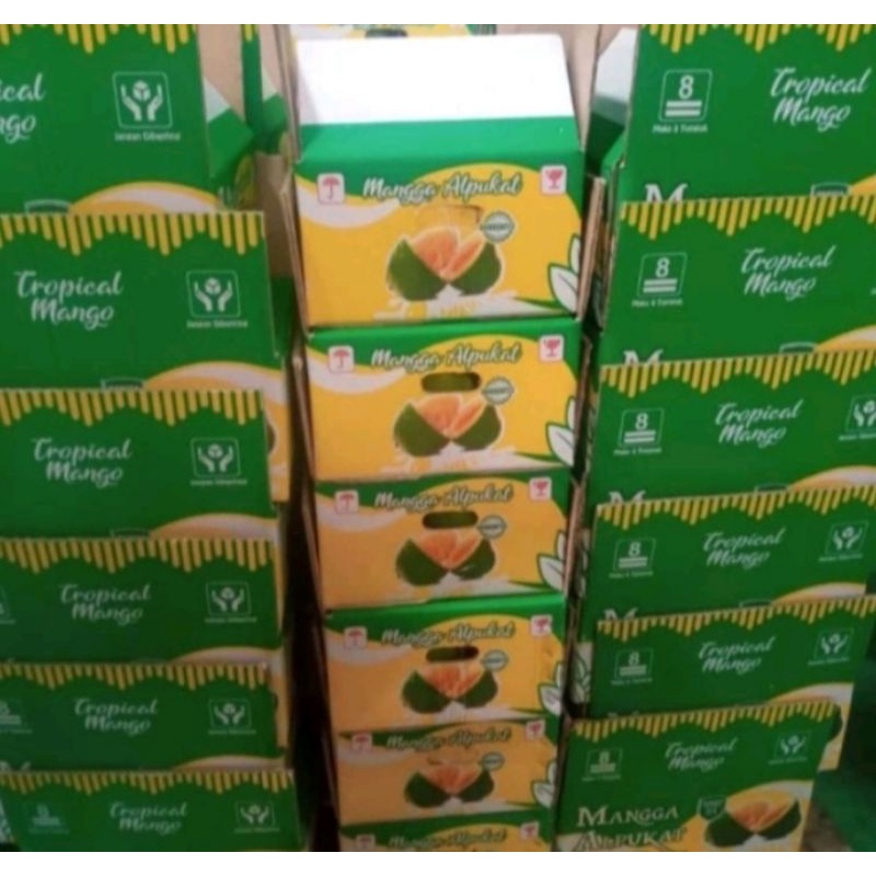 

Mangga dus Alpukat 1 box