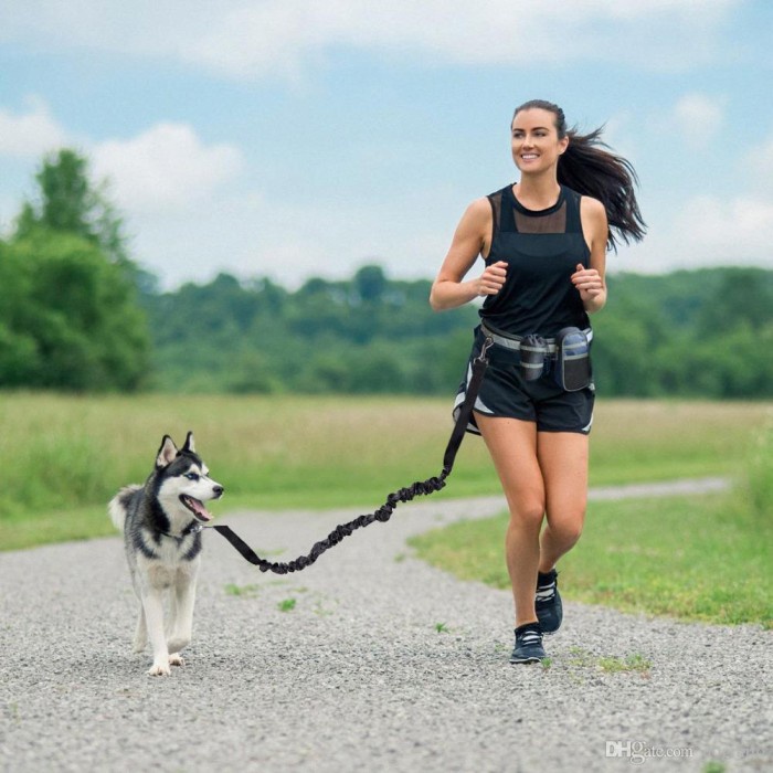 Dog Running Leash with Waist bag / Tas Pinggang Tali Tuntung Anjing