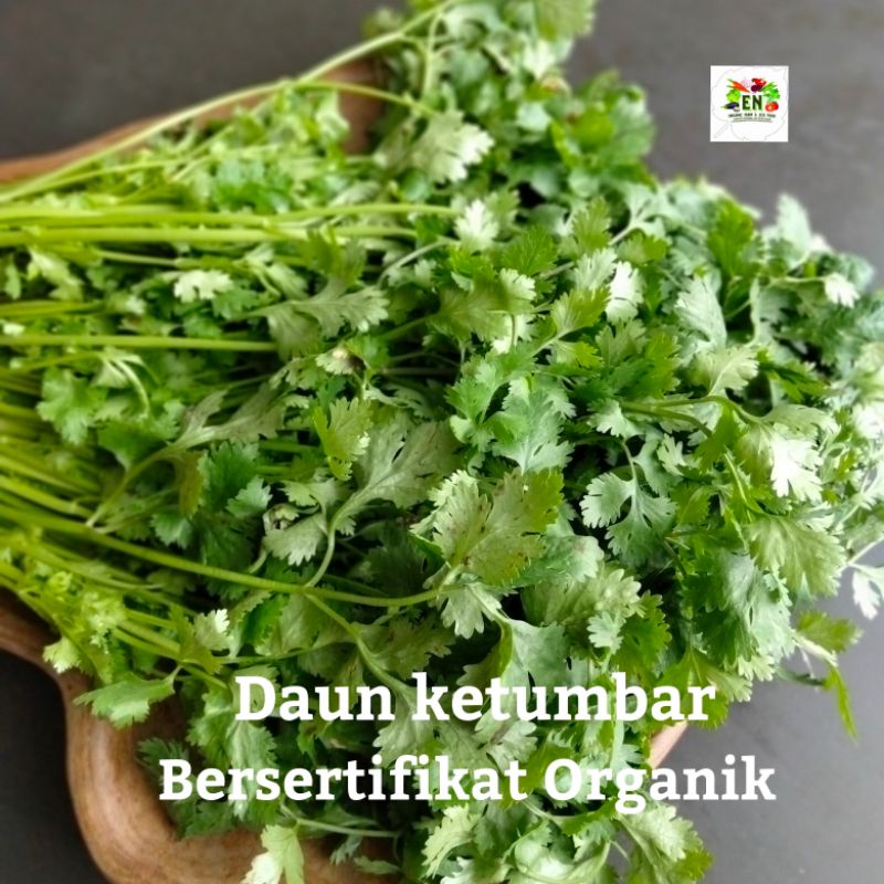 

1pack Herb Daun Ketumbar 100% Sertifikat Organik Vegetable Murah Sehat Healthy Life Grosir Supermarket