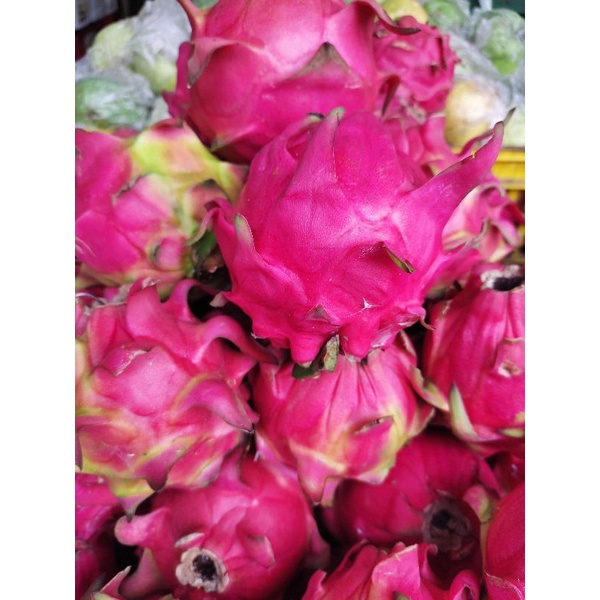 

naga merah 1kg