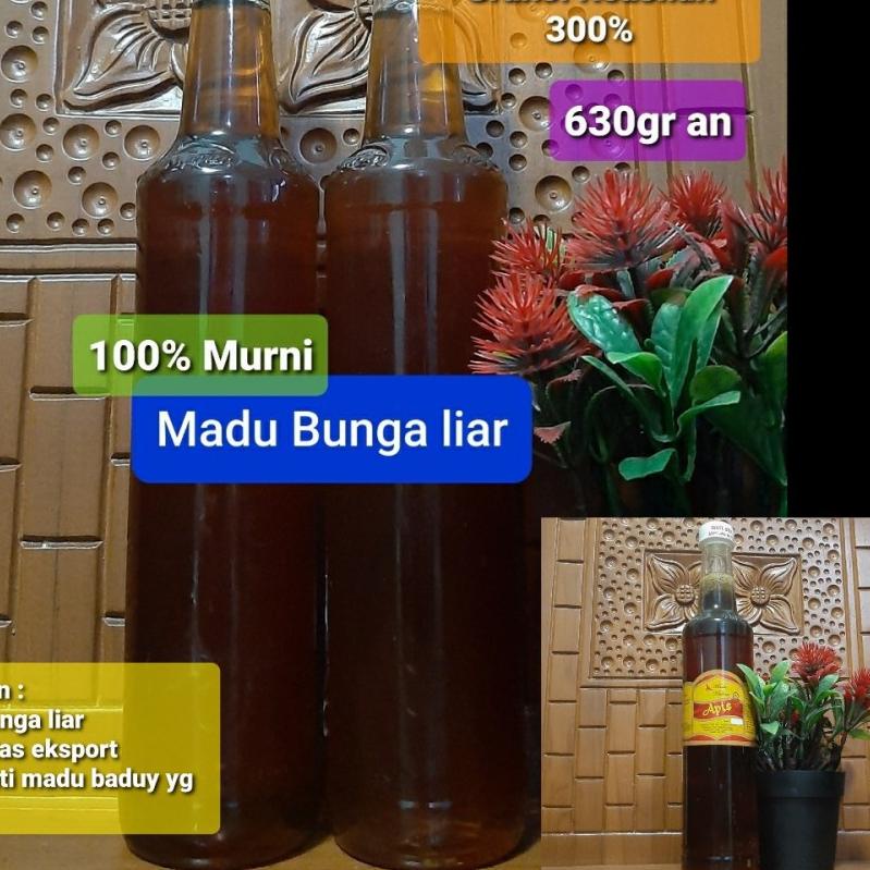 

GRATIS ONGKIR✅MADU ASLI BUNGA LIAR 630gr|SQ4
