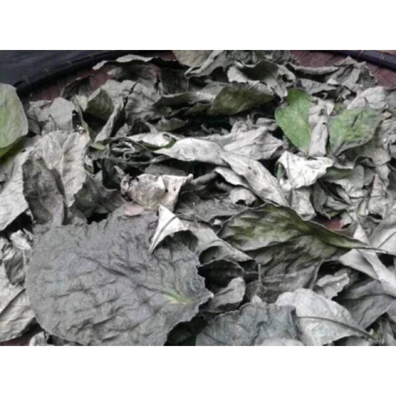 

daun keji beling/kibeling herbal batu ginjal kencing batu 500gr