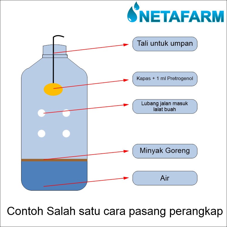 Pestisida / Insektisida Perangkap Lalat Buah PETROGENOL - 1 kotak