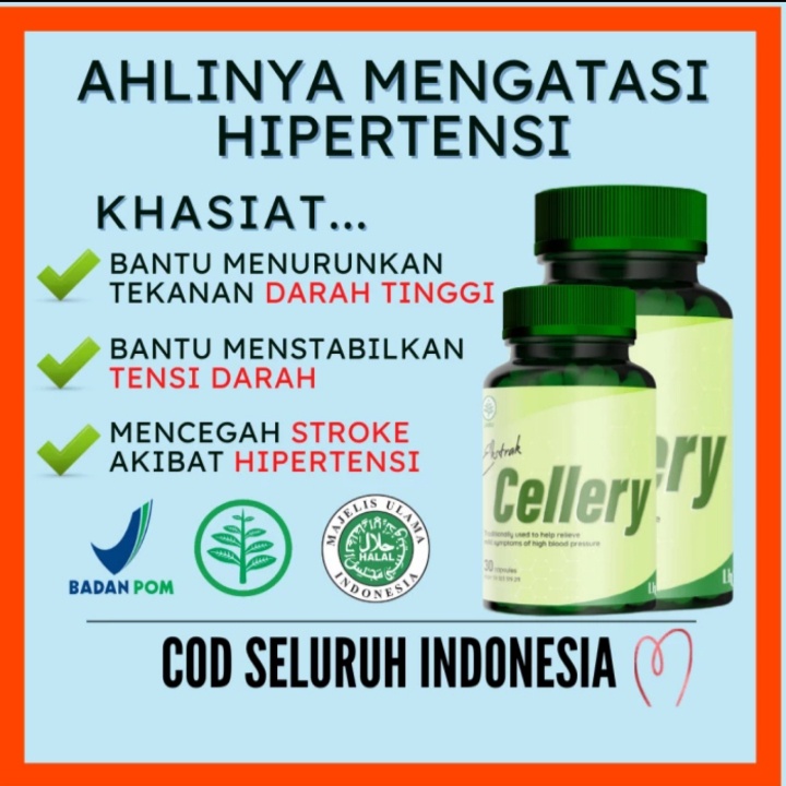 obat darah tinggi ampuh - CELLERY ASLI OBAT DARAH TINGGI HIPERTENSI CELLERY HERBAL AMAN AMPUH