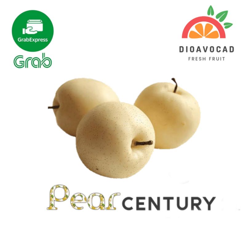 

buah pear century harga satuan/bijian