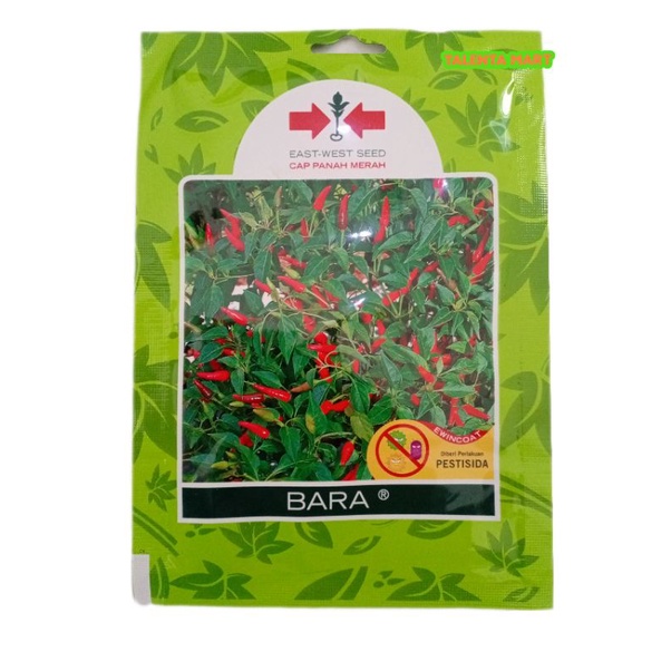 Benih Cabe Rawit Bara 500 Butir untuk Budidaya Cabai Rawit Pedas Produktif