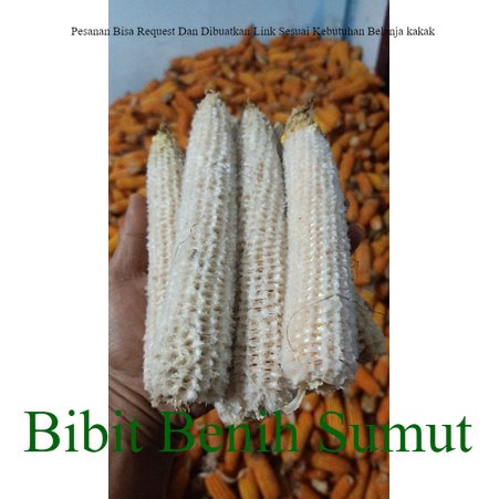 Tongkol Jagung 1Kg BONGGOL JANGGEL JAGUNG Kering Limbah Jagung Partai Besar Lebih Murah Bila ingin o