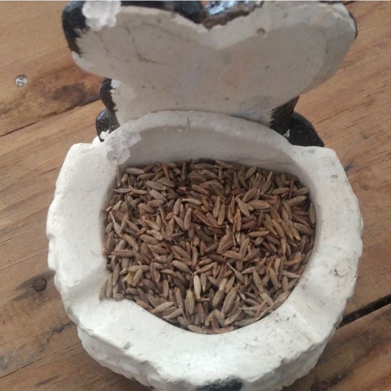 

Jinten Masak, Jinten Biji, Jinten Murah 500g