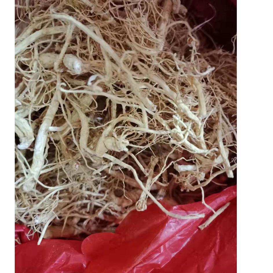 

Lariza--Akar Ginseng Premium / Yang Shen Xu / Yio Som Chiu 人参须 50 gram (jenis lebih tipis)