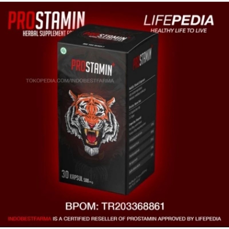 AGEN OBAT PROSTAMIN ORIGINAL BPOM ASLI STAMINA PRIA PERKASA