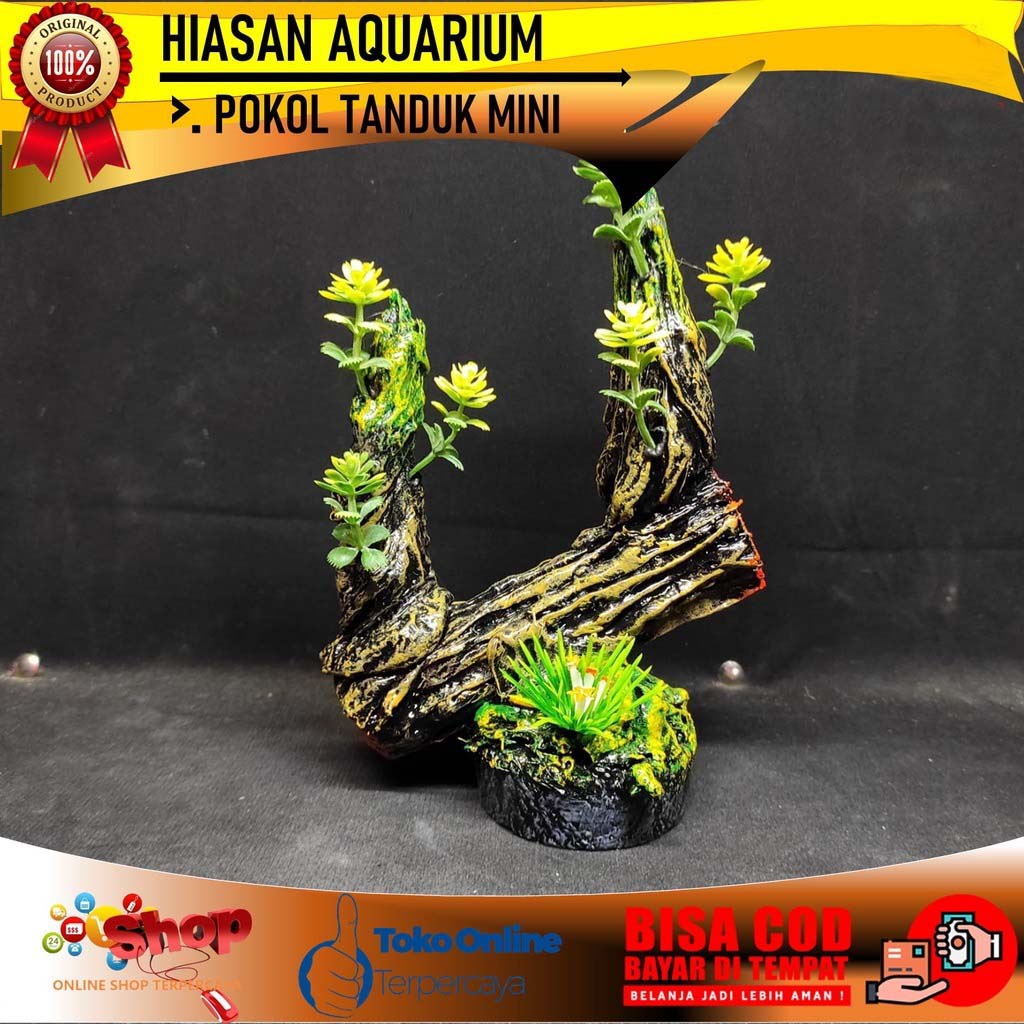 Dekorasi aquarium kayu pongkol, dekorasi aquarium tanaman dan kayu, hiasan aquarium kayu pongkol, hi