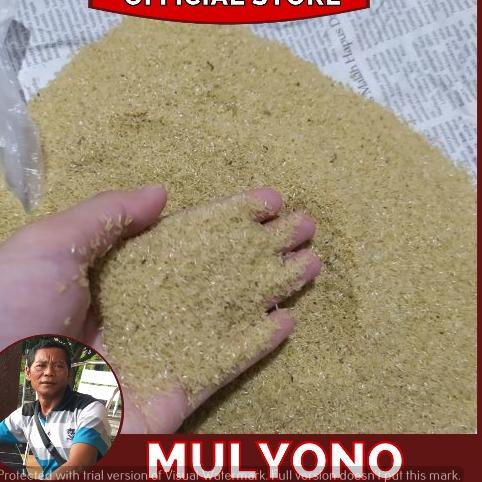 

qlu Telur Jangkrik Alam Madu Kualitas Super Netas 99% rrat522