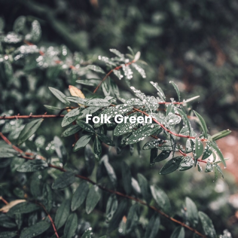 FOLK GREEN PRESET LIGHTROOM (iOS &amp; ANDROID)