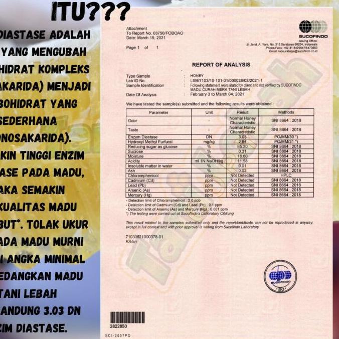 

BISA COD ✔️Raw honey 1 Kg Madu Murni Asli Nektar Multiflora free sendok madu + dus box|KD3