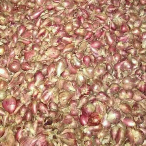 

Lagi Bagus--Bawang merah BREBES kecil 1 Kg