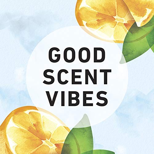 Dry Shampoo Herbal Essences Herbal Essences Body Envy Shampoo & Body Wash