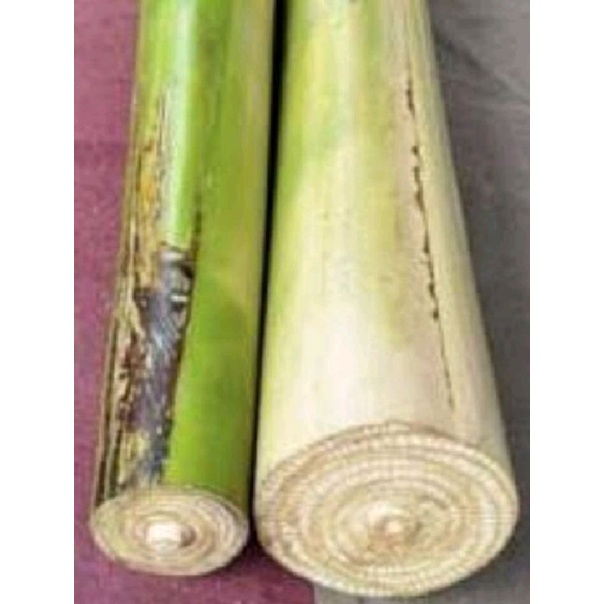 gedebong pisang/batang pisang