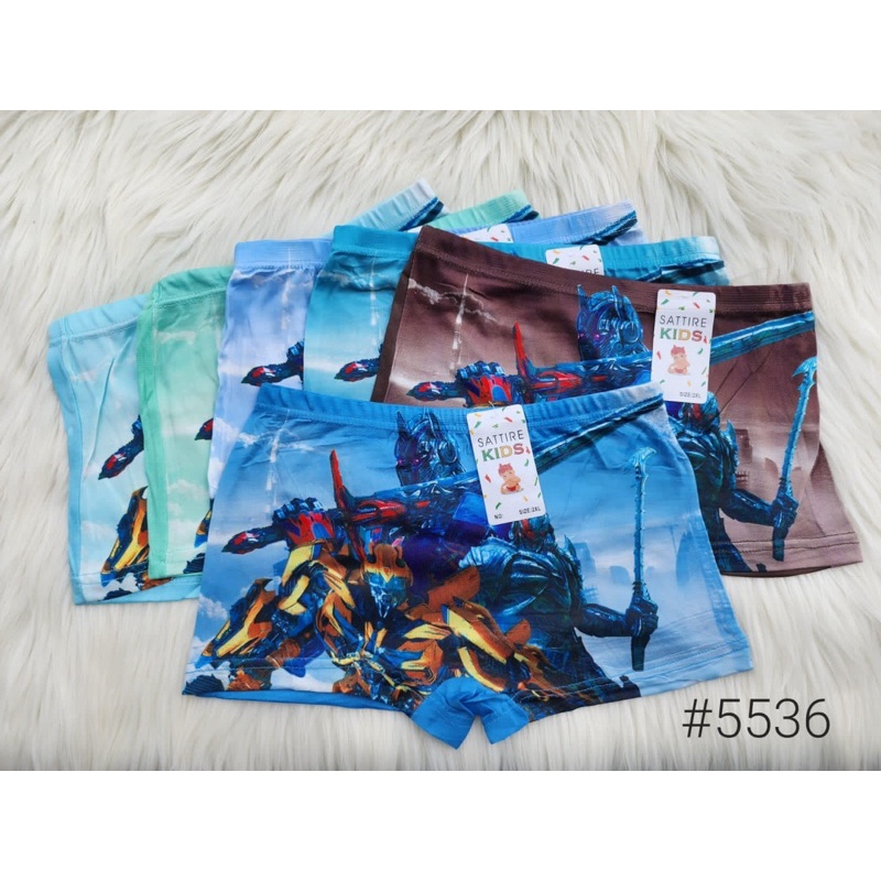 12 PCS BOXER ANAK LAKI GONTANO LUSINAN