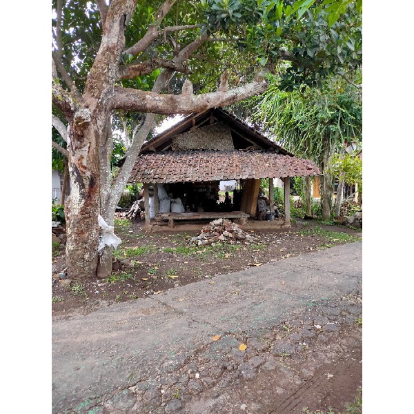 pangkas rumput