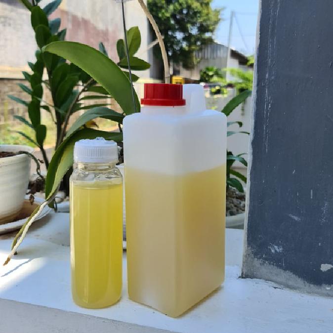 

[COD] Madu Curah Madu putih 1kg [COD]