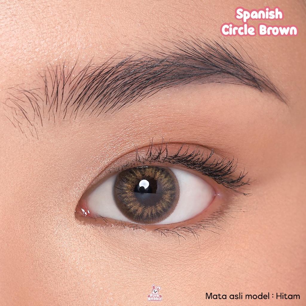 PINKRABBIT Softlens Spanish Circle Brown (Normal, Minus 0.5 s/d 8.00)