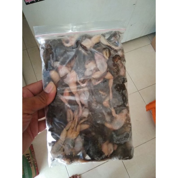 

Kodok Beku Size Besar 500gr
