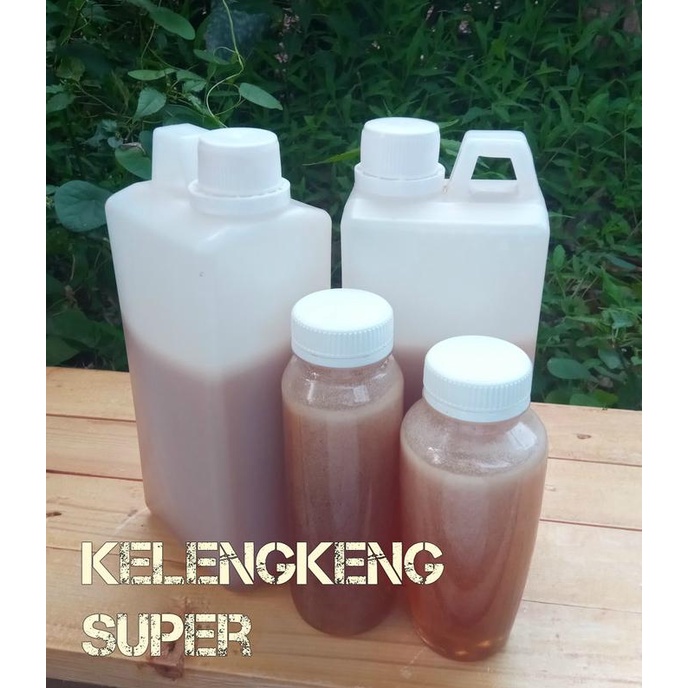 

TERBARU MADU KELENGKENG SUPER 1KG STOK TERBATAS