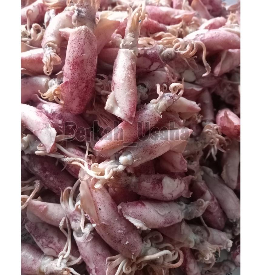 

Deal Now--CUMI ASIN REBUS FRESH size 4-7cm Per 500gram IKAN ASIN MURAH GROSIR KERING