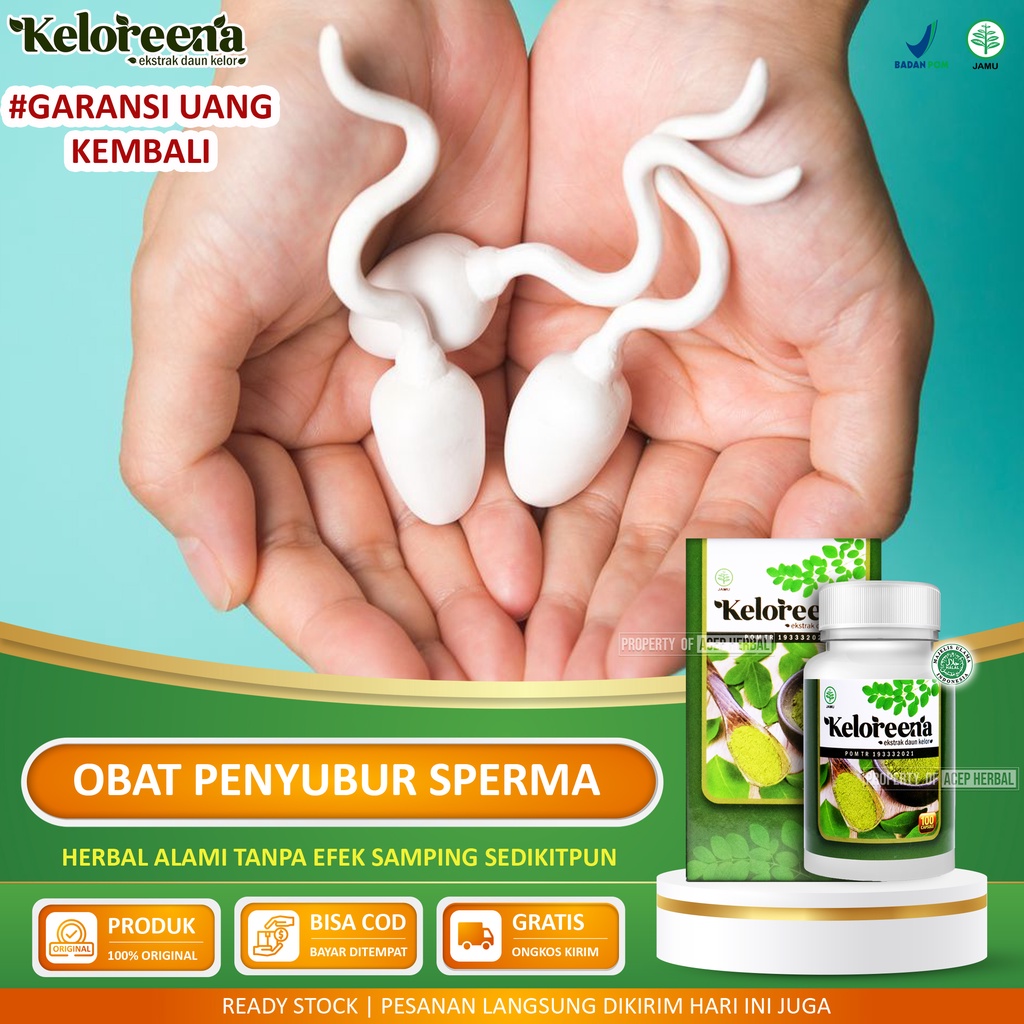 Obat Penyubur Sperma Pria Keloreena Obat Azoospermia Sperma Encer Vitamin Penambah Sperma Ejakulasi 