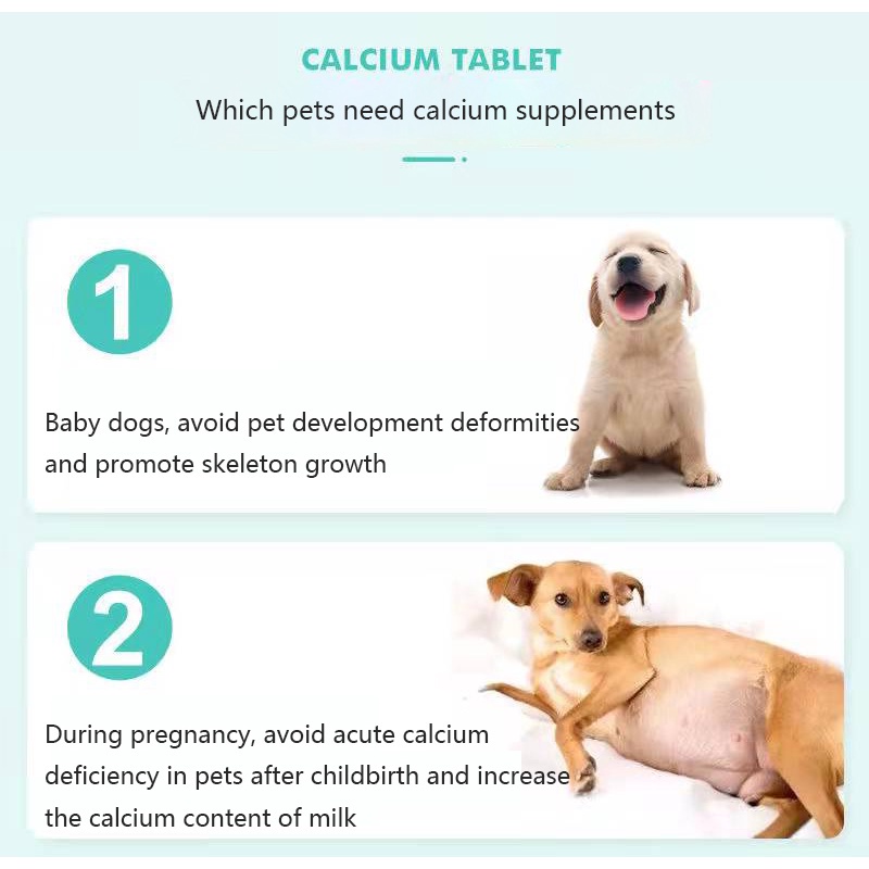 Pet Vitamin Calcium For Kucing Anjing Mencegah Osteoporosis Digunakan Untuk Kucing Hamil Dan Suplemen Kalsium Anjing