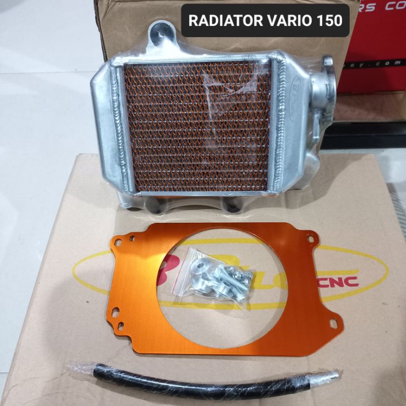 Harga radiator vario 150 bpro Terbaru Des 2024 |BigGo Indonesia