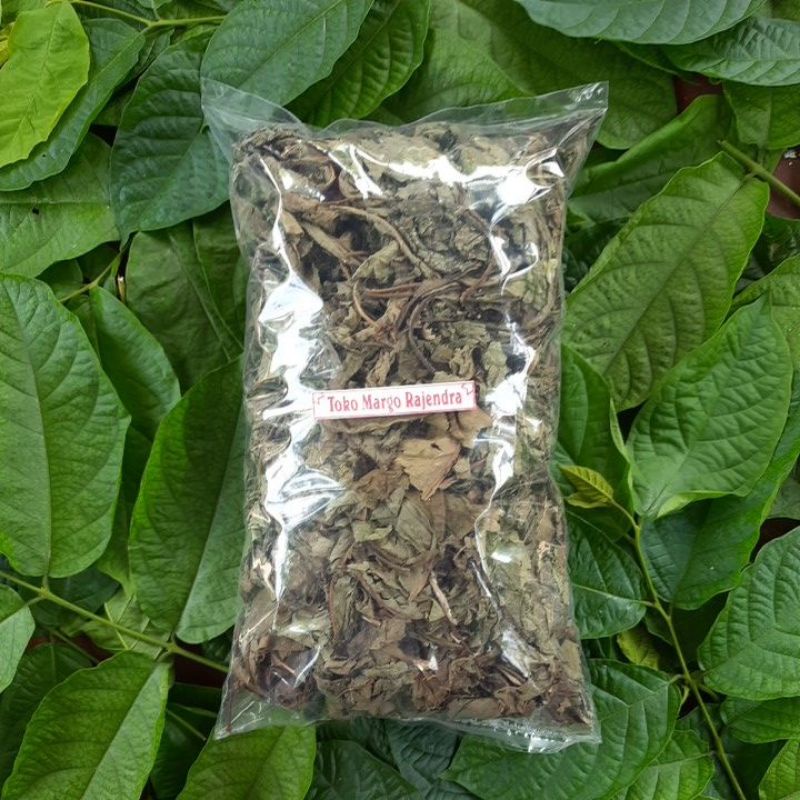 

Daun afrika Kering 100 Gram
