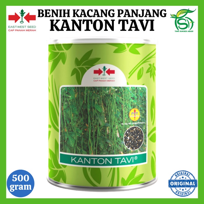 Benih Kacang Panjang KANTON TAVI 500 Gram - Bibit Kaleng Panah Merah