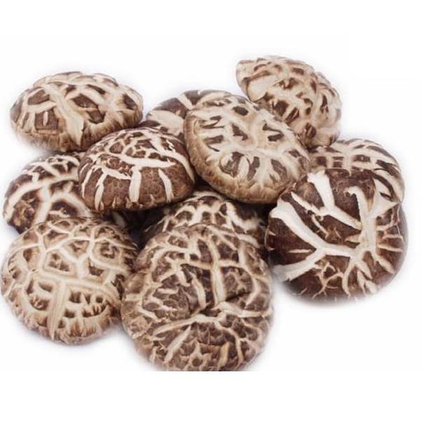 

BISA COD ✔️FCW - Jamur Shitake / Jamur Hioko Kering 100 Gram|KD1