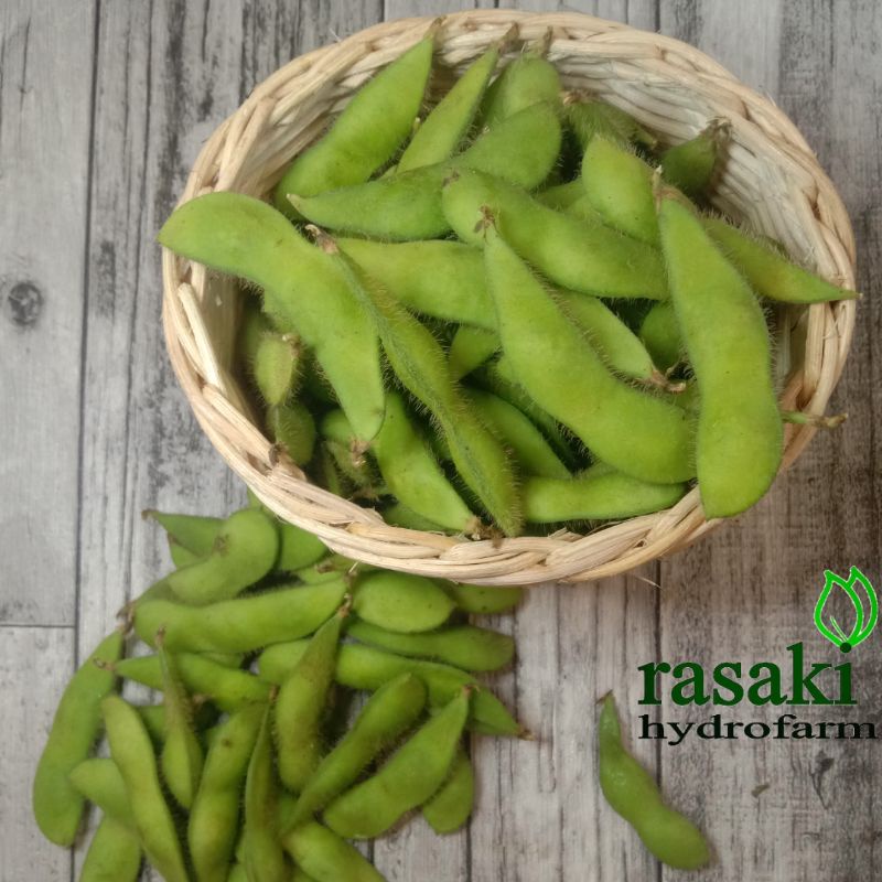 

kacang edamame fresh segar 1 kg rasaki