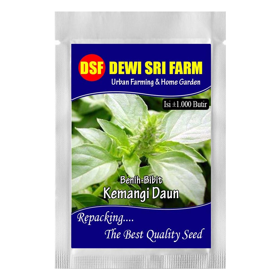 kemangi - ±1000 benih bibit Kemangi Unggulan