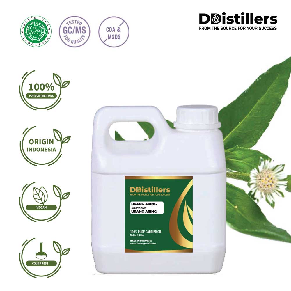 Urang Aring / Urang Aring Carrier Oil Asli 100%, 500ML-1L HDPE