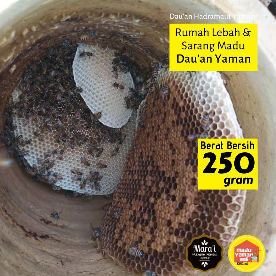 

Sikat Sekarang--Madu Yaman Marai Asli 100% Grade 1